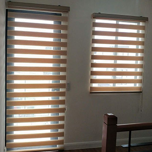 Zebra Roller Blinds